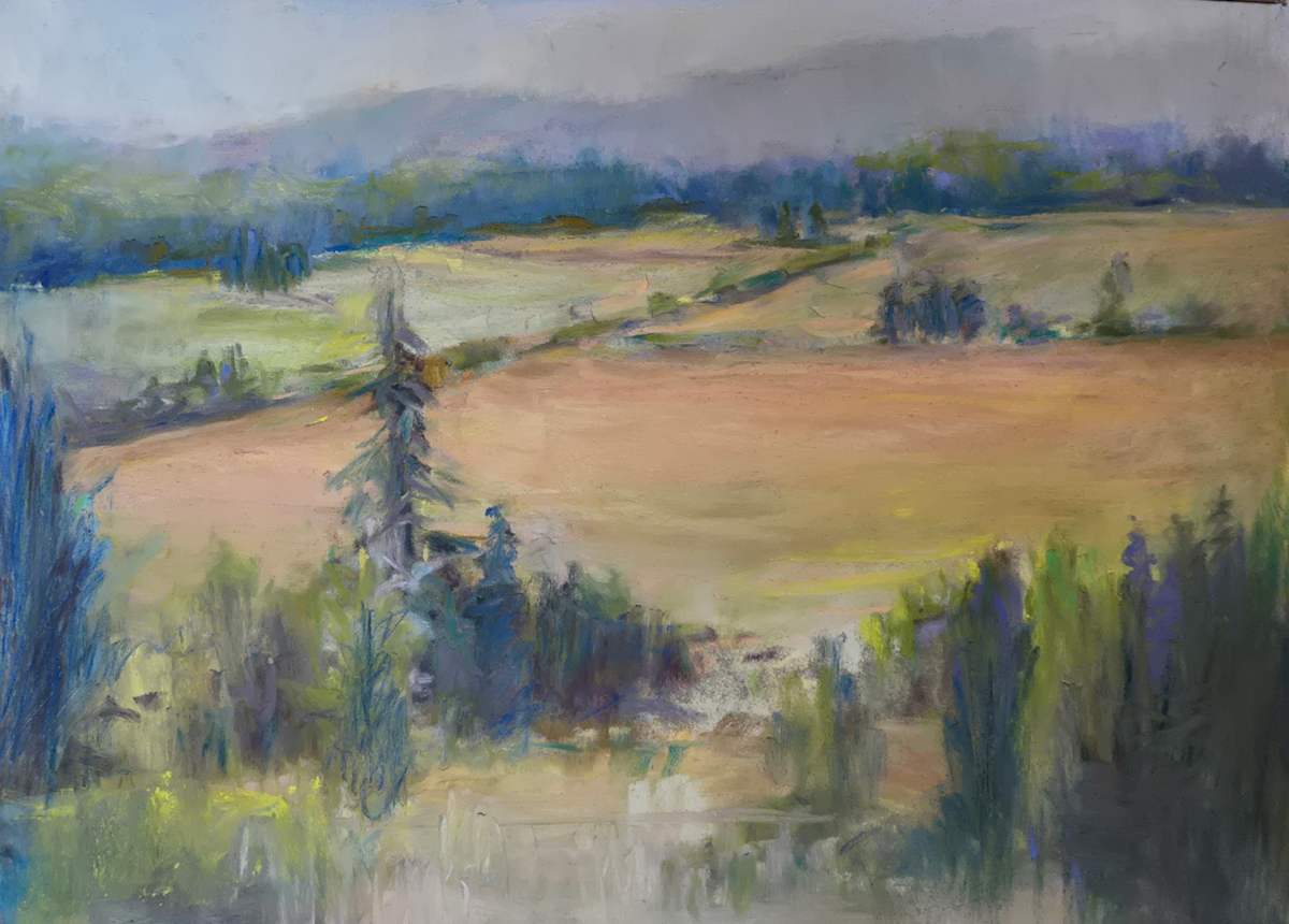 Fields of Green Nanaimo by Nanci Cook, PAC, Image 1.