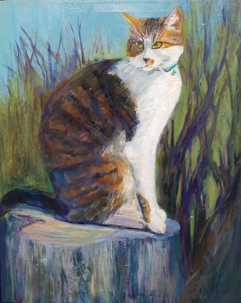 Rocky: King of the Stump by Nanci Cook, PAC, Image 1.