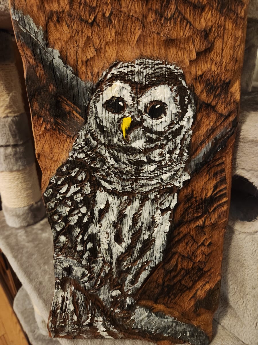 barred owl by David Champion -Champsaw Art 
