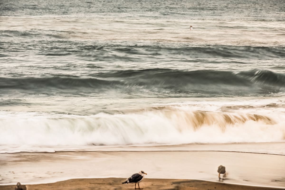 Seaside Melody by Kimberly Marnell 