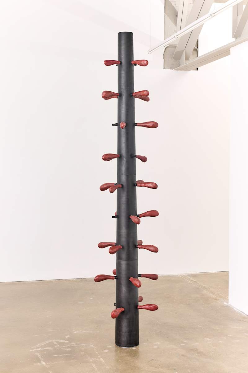 Tapping the Root by MASUD  OLUFANI, Image 1.