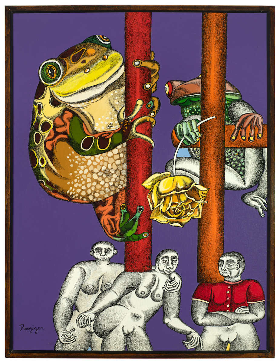 Frog People by Joan Danziger 