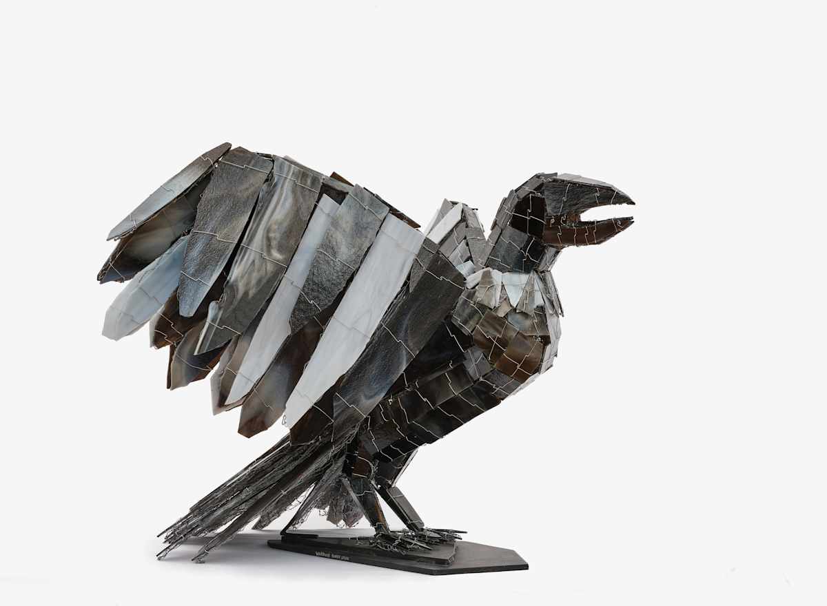 Warrior Raven (formerly Medieval Raven) by Joan Danziger 