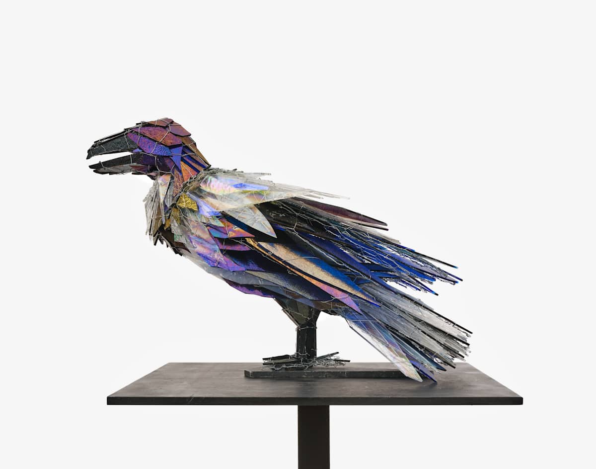 Rainbow Raven by Joan Danziger 
