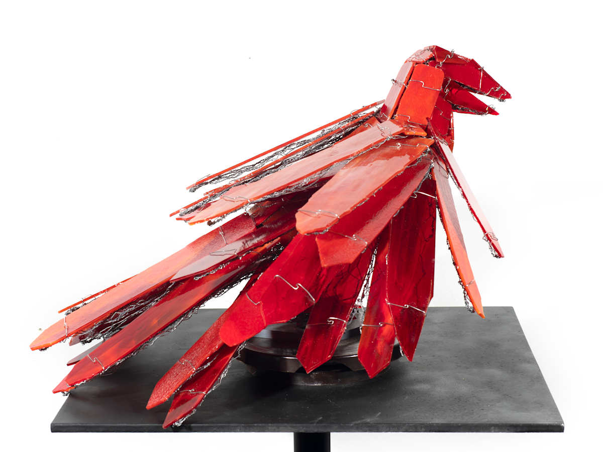 Flame Raven by Joan Danziger 