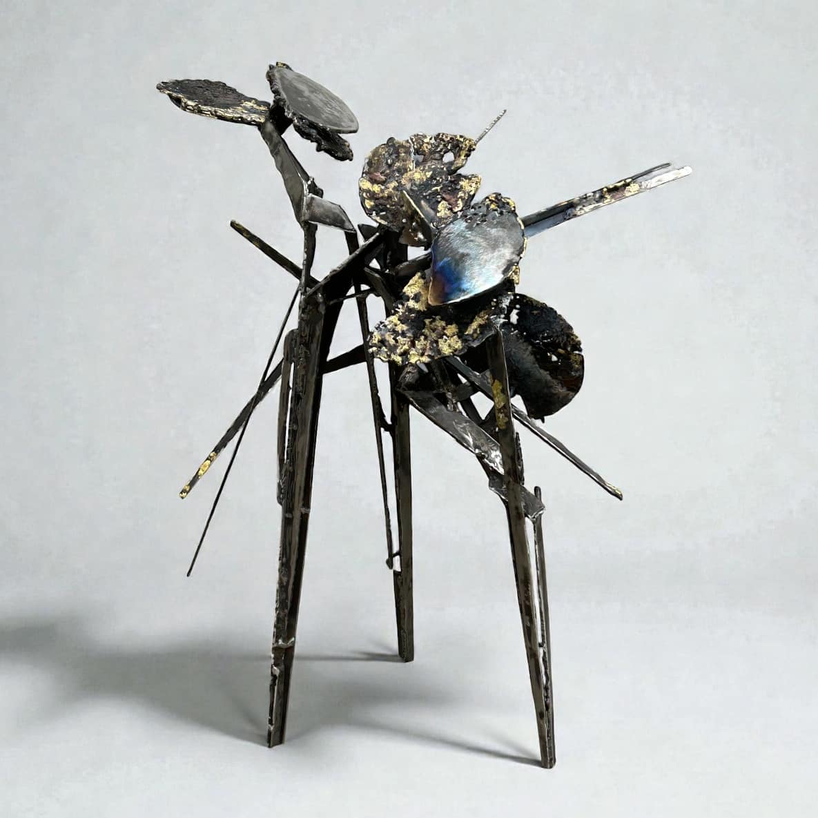 Embattled by Stephen Lee, Image 1.