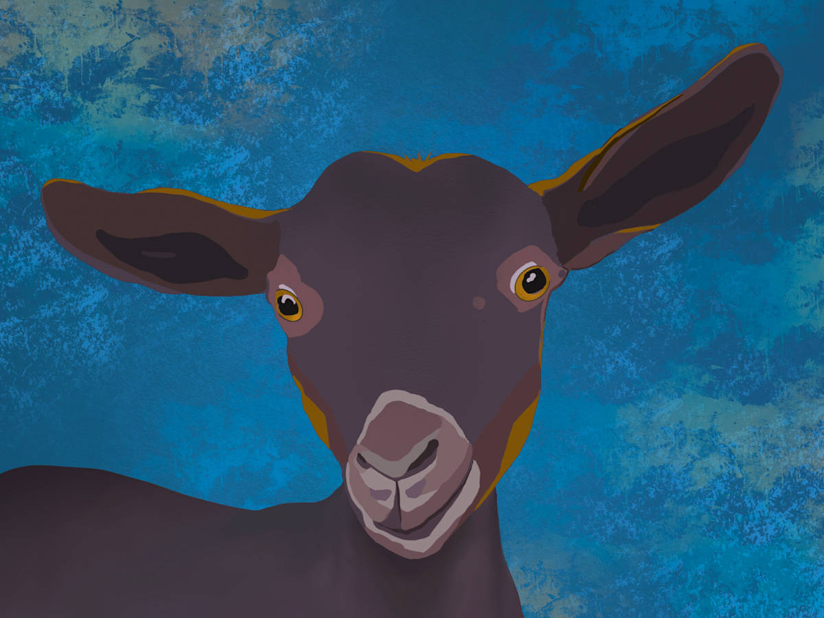 Spunky by Sharon E. Smith 