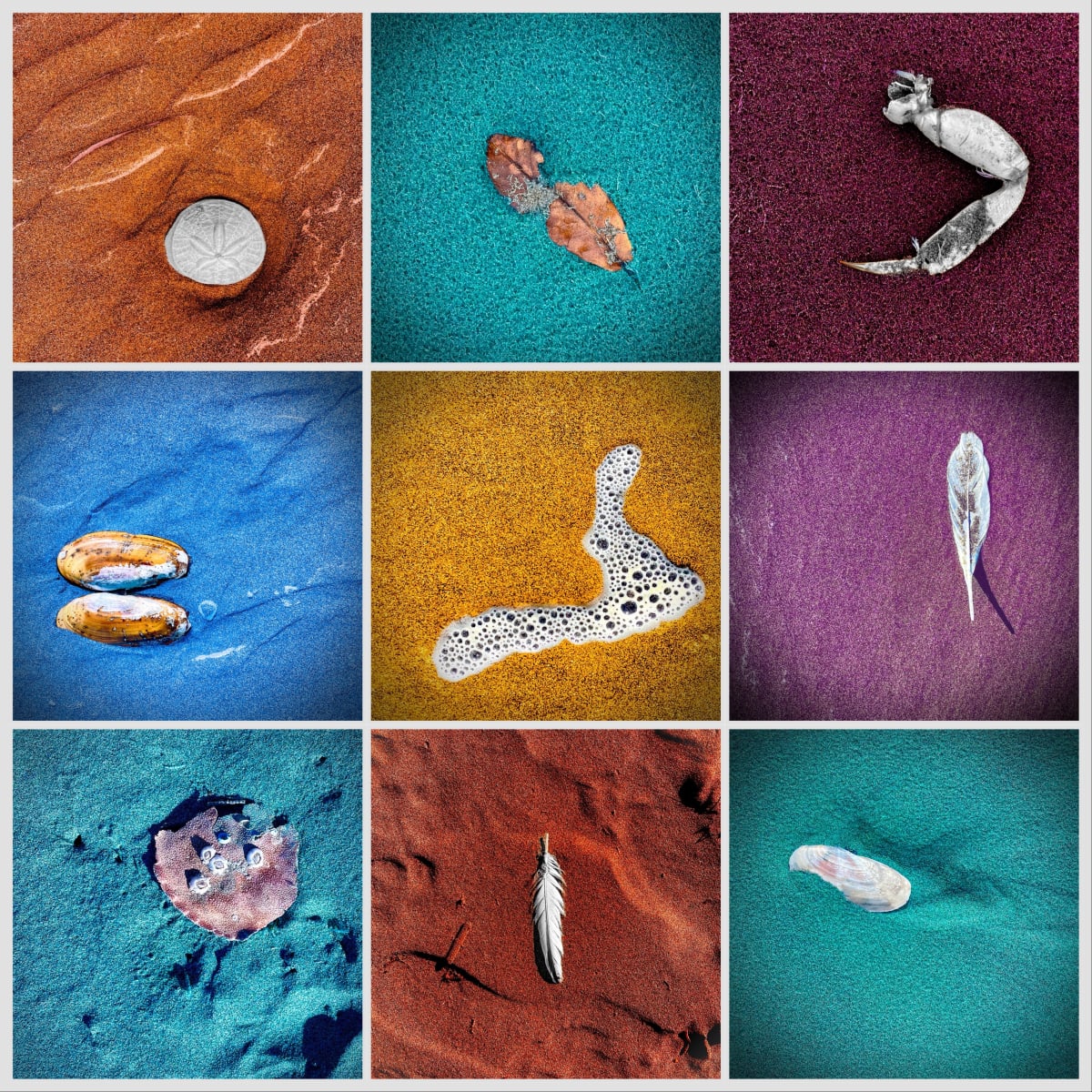Seaside Finds by Sharon E. Smith 
