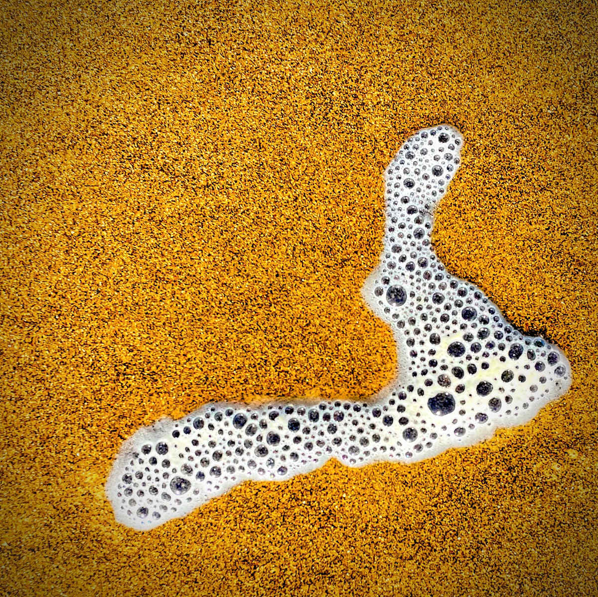 Seaside Finds V by Sharon E. Smith 