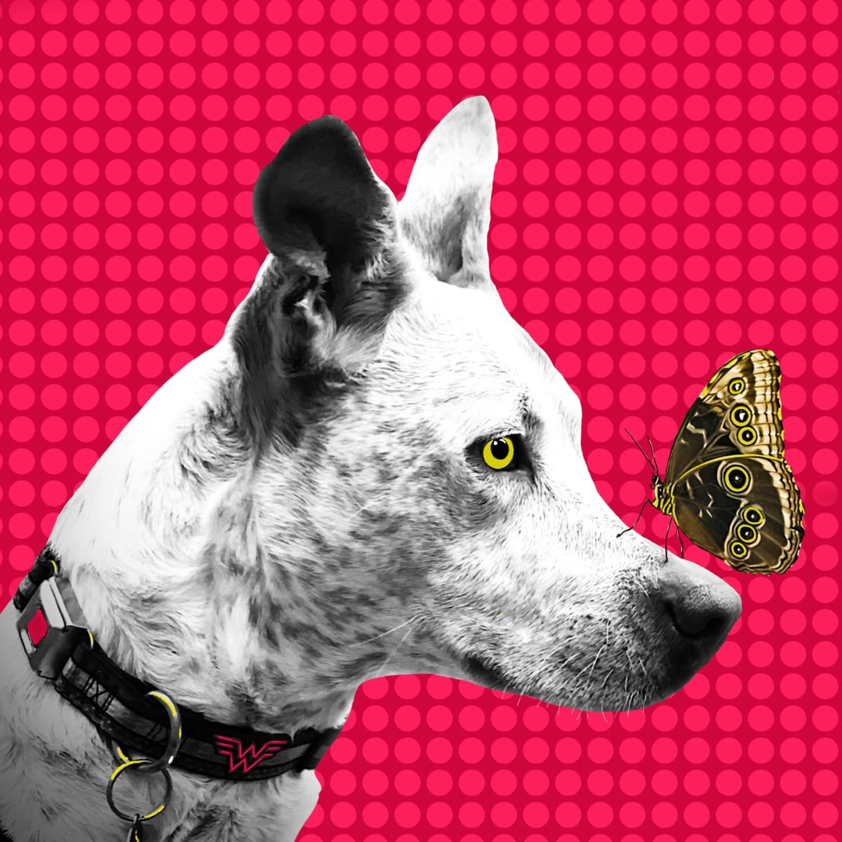 Frida and the Butterfly by Sharon E. Smith, Image 1.