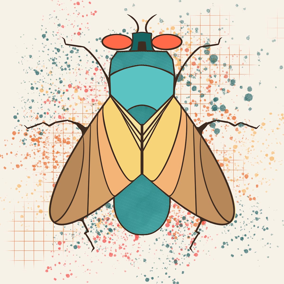 Fly by Sharon E. Smith 