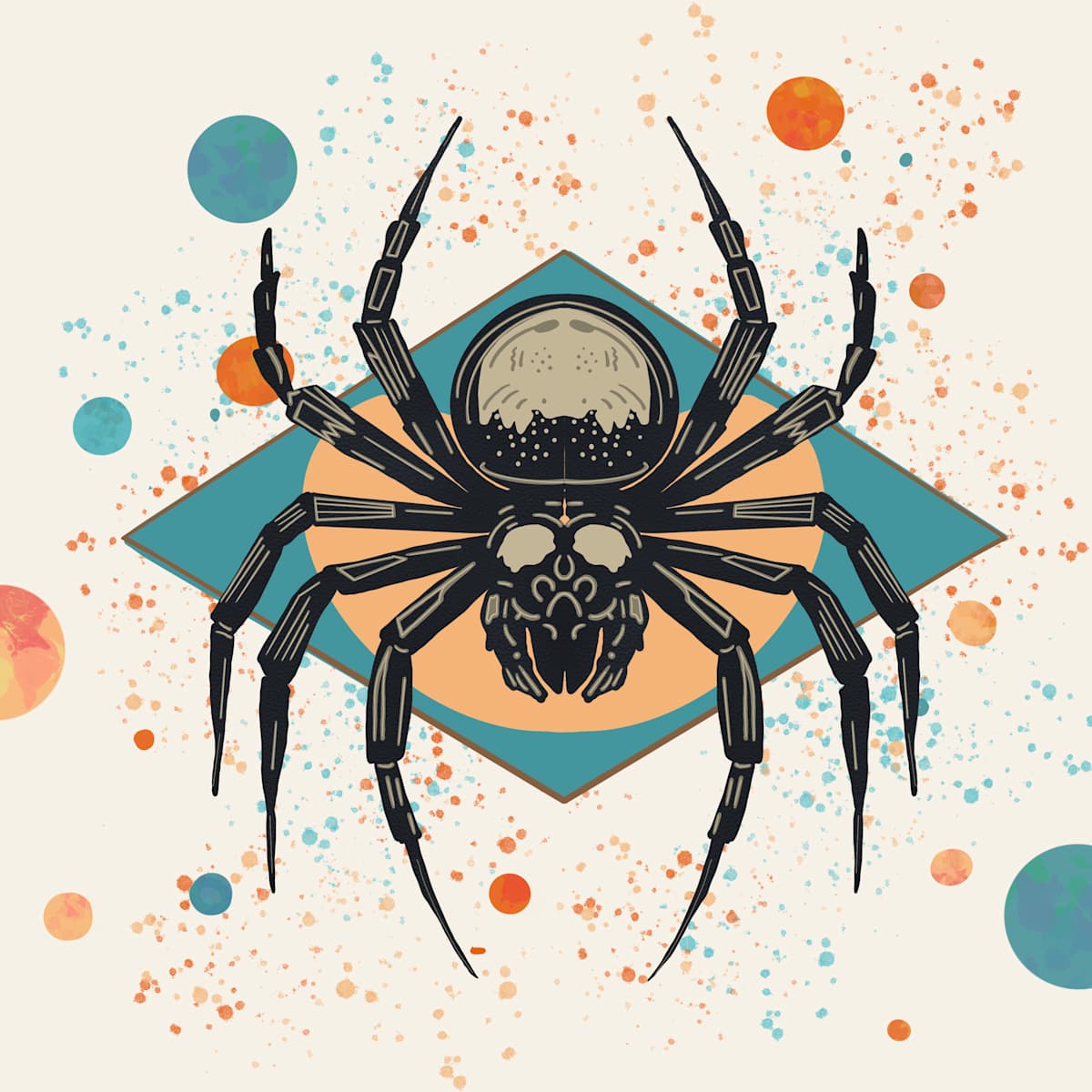 Spider by Sharon E. Smith 