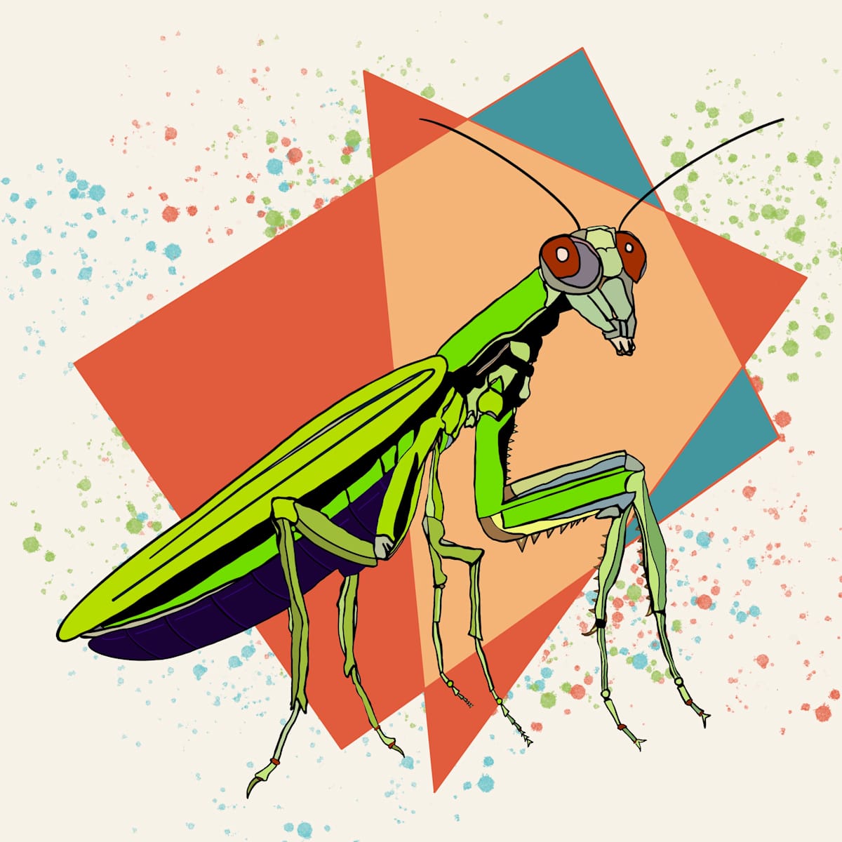 Praying Mantis by Sharon E. Smith 