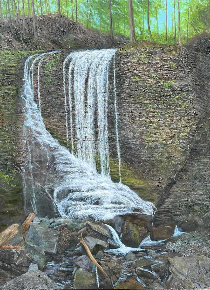 Bucktail Falls by Michael W Field  Image: Bucktooth Falls,  this painting was painted on site.  This is my largest outside painting to this point, 36 X 48.