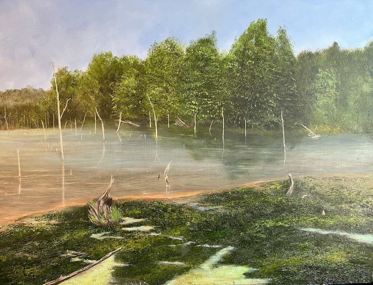 Red Mill Road Swamp by Michael W Field, Image 1.