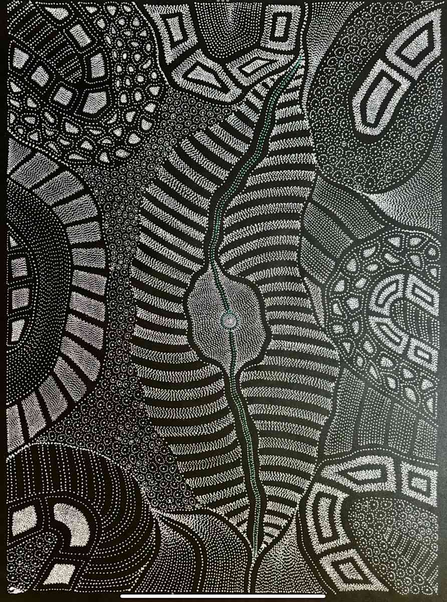 My Country by Anna Price Petyarre 