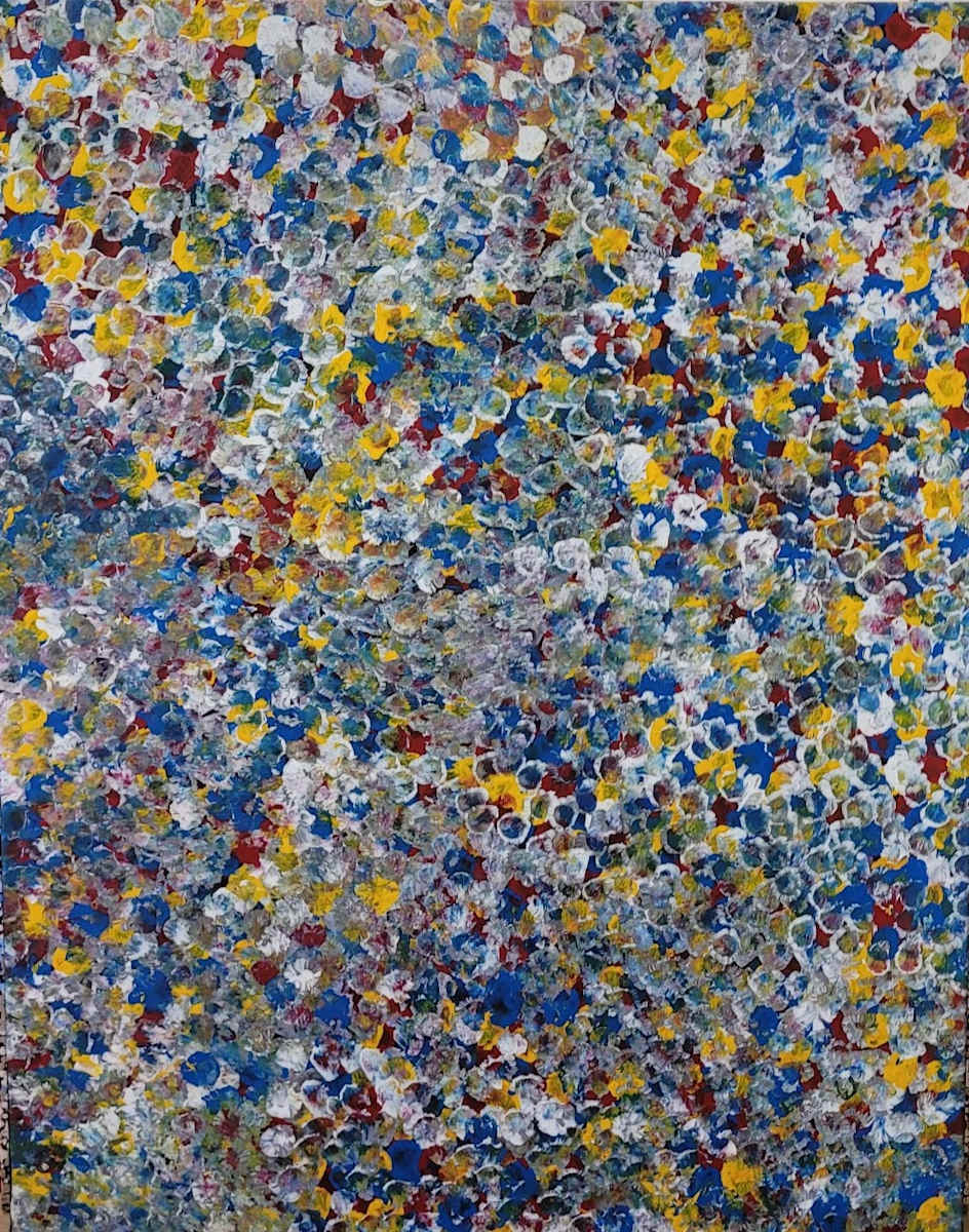 Bush plum Dreaming by Belinda Golder Kngwarreye 