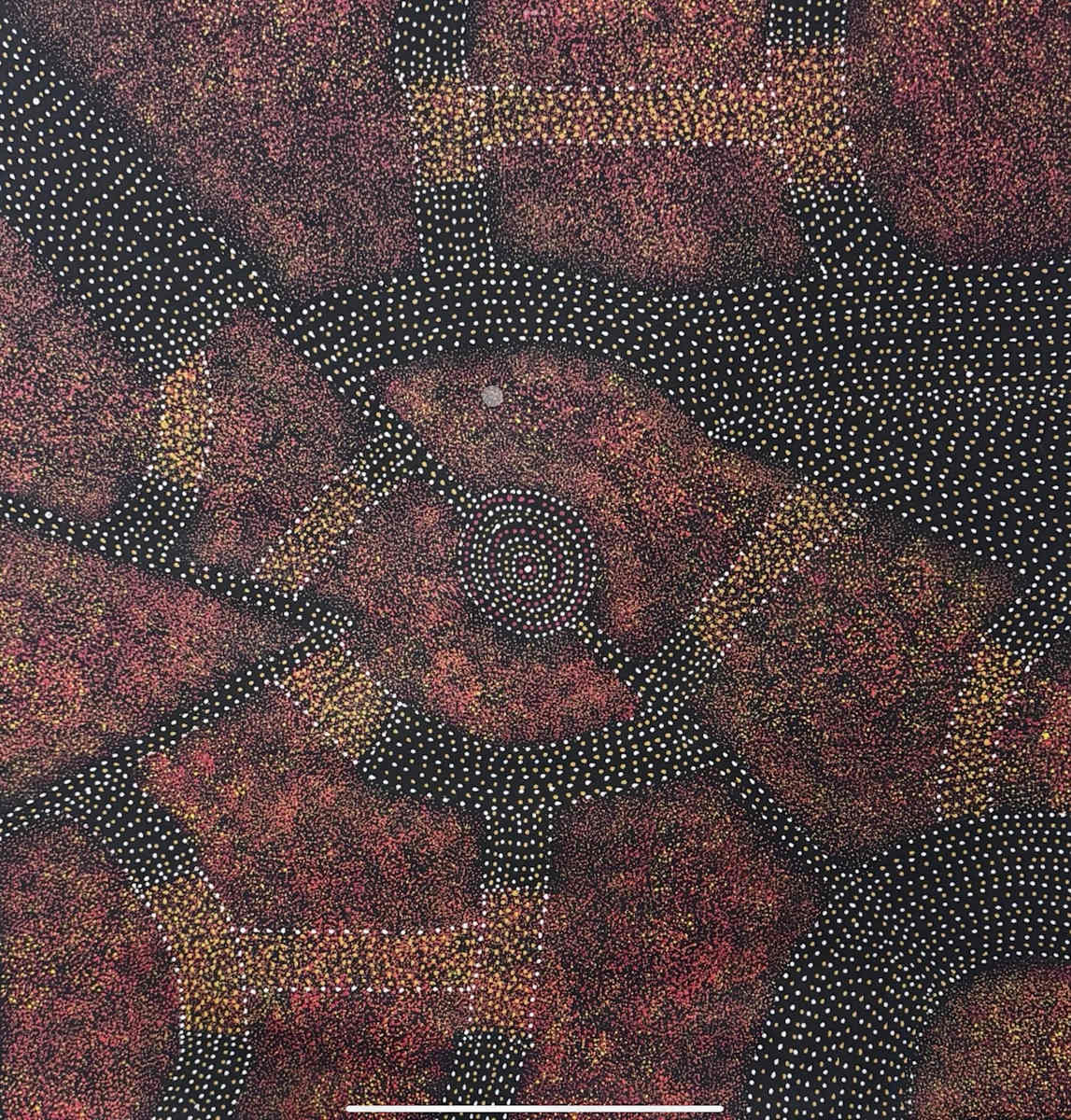 Bush plum Dreaming by Roseanne Morton Pwerle 