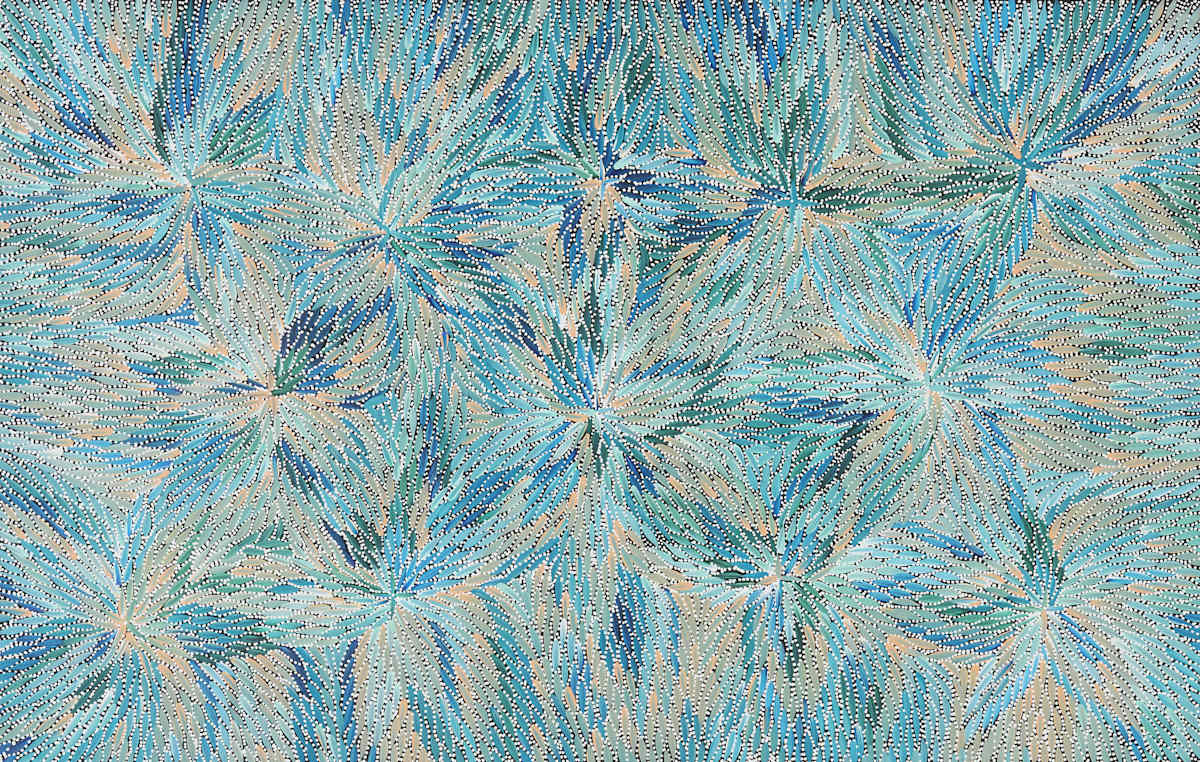 Bush Medicine leaves by Bernadine Johnson Kemarre 