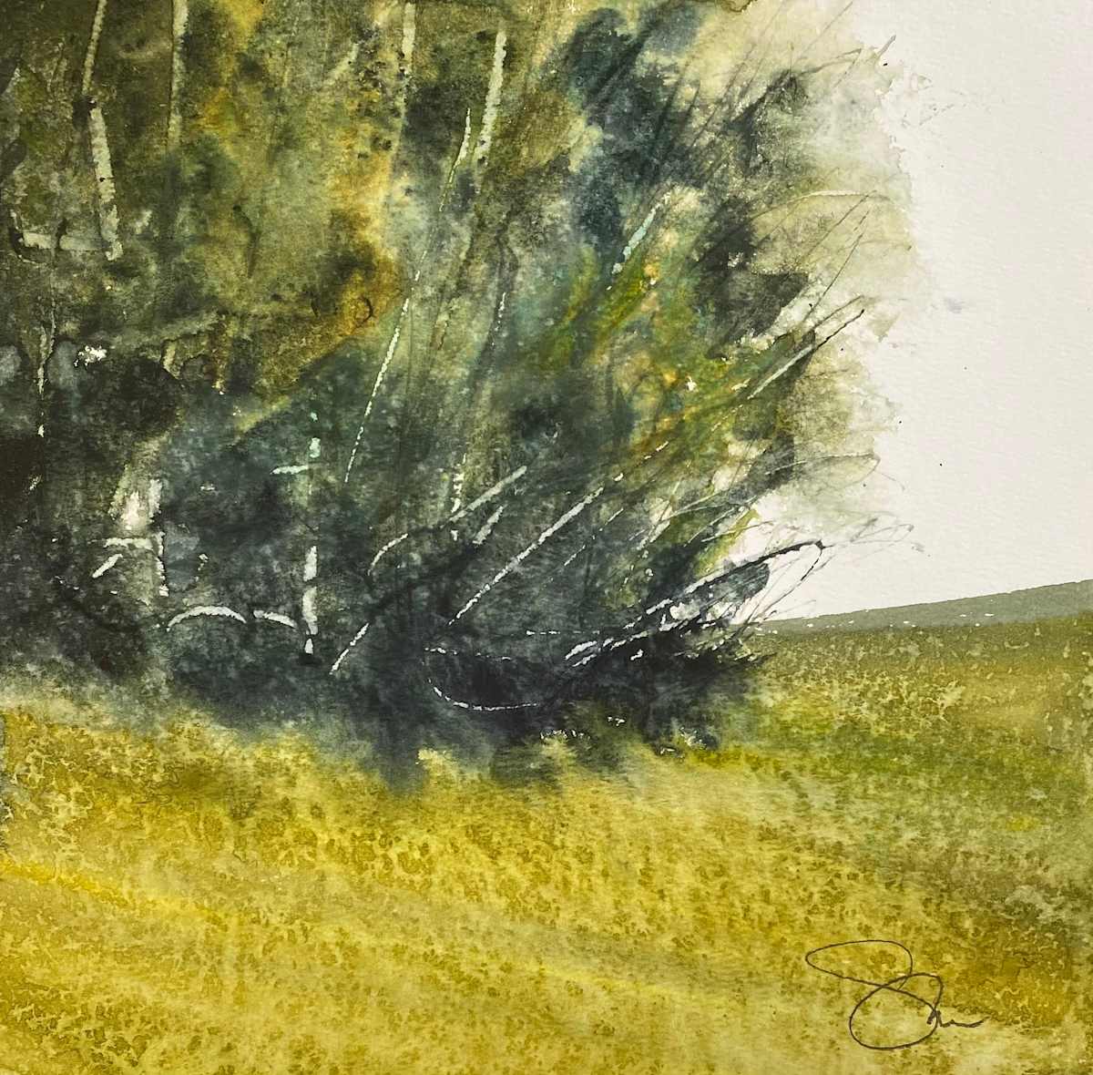 Thus and So by SteveGriggsWatercolor 