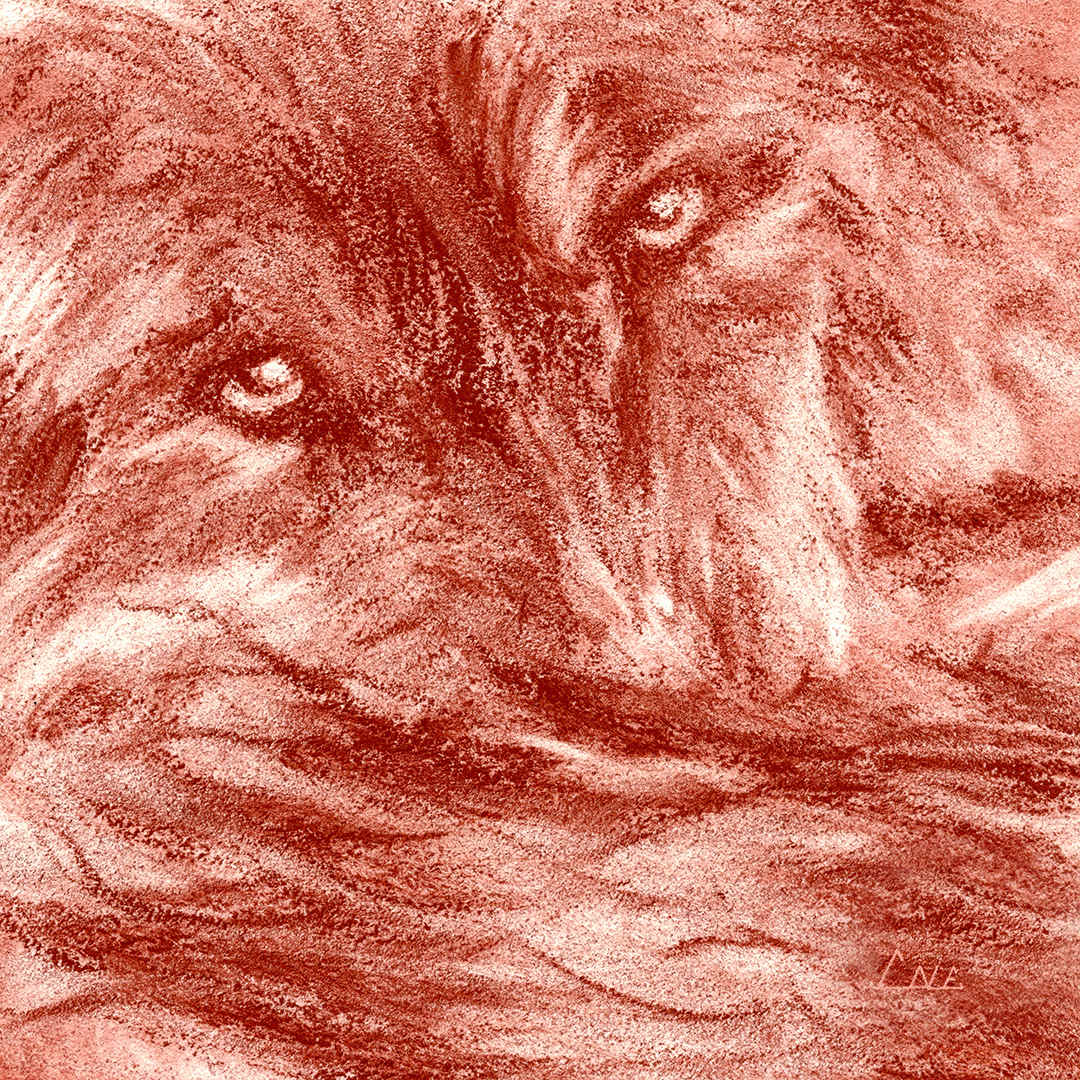 Watch - Enduring Vigil by David Herman  Image: Watch - Enduring Vigil