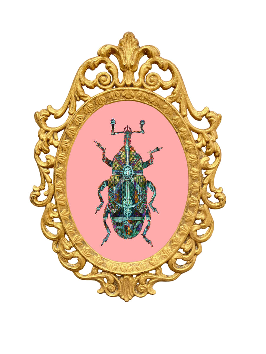 Fred (Mini Bug) by Cynthia Wagner - Artist, Image 1.