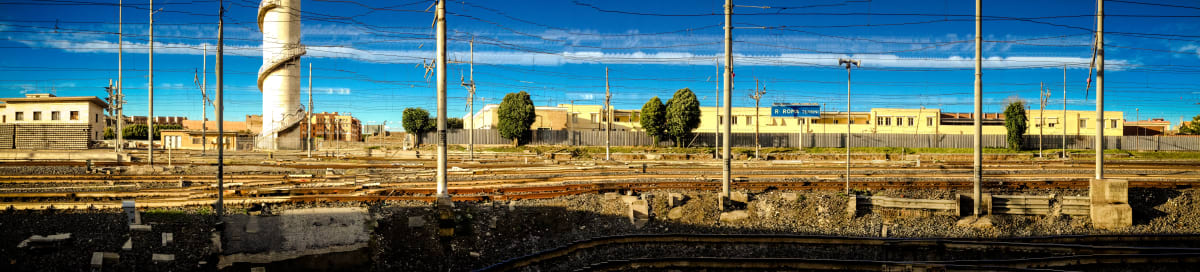 The Barbarian's Are Coming by Cynthia Wagner 