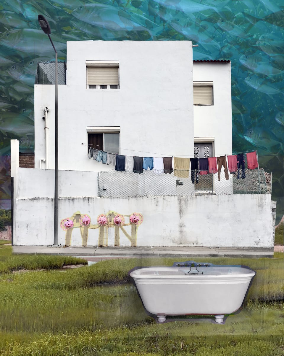 White Wash by Cynthia Wagner 