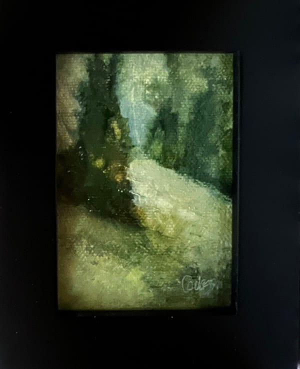 Back Country Hike by Jeanne Levasseur 