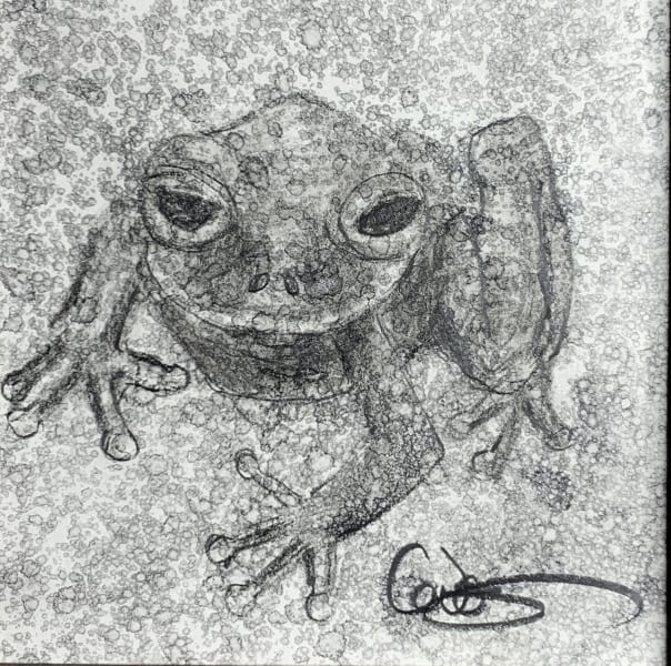 Frog II by Jeanne Levasseur, Image 1.
