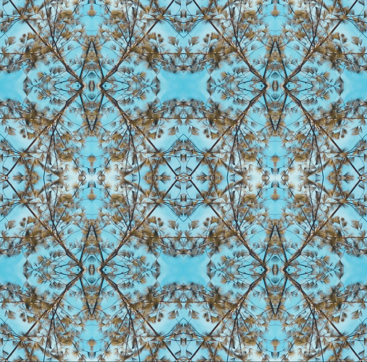 Catarina pines pattern (Tiffany blue sky) by Denise Wamaling 
