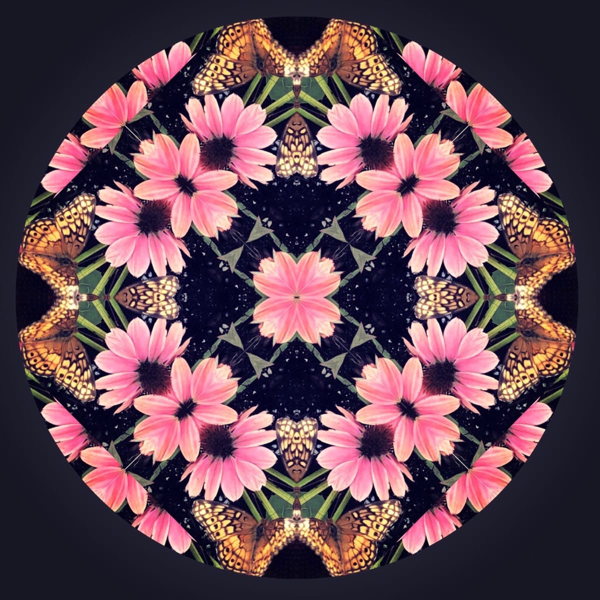 Flutterby Circle by Denise Wamaling 