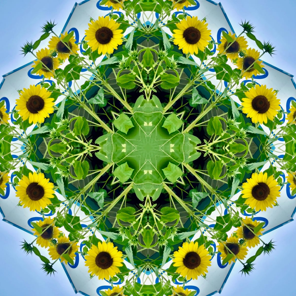 Samantha’s Sunflowers by Denise Wamaling 