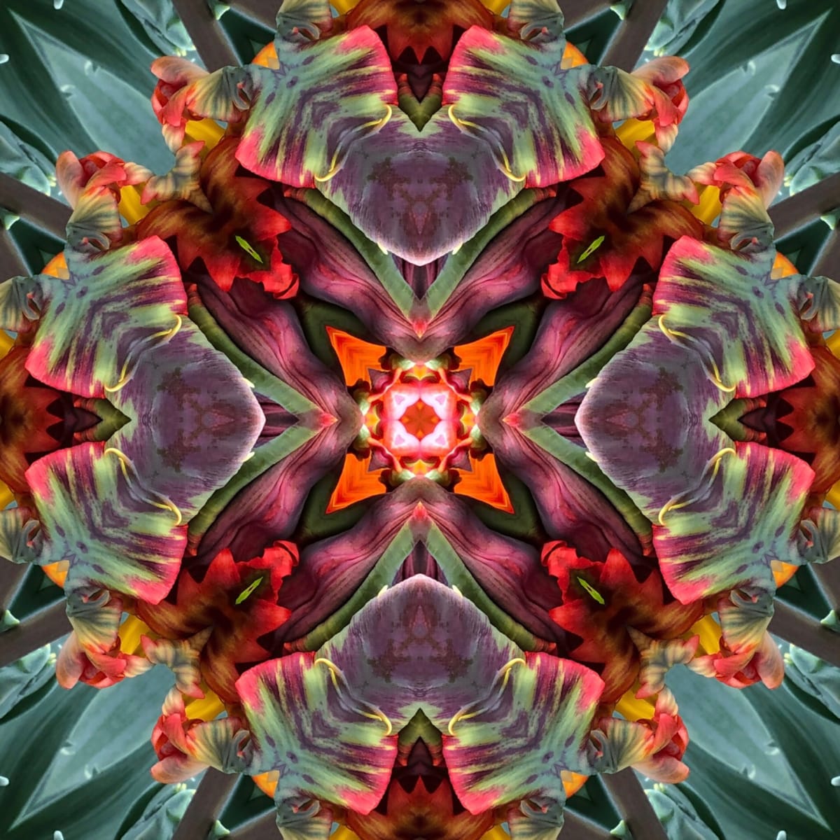 Tulipmania by Denise Wamaling 