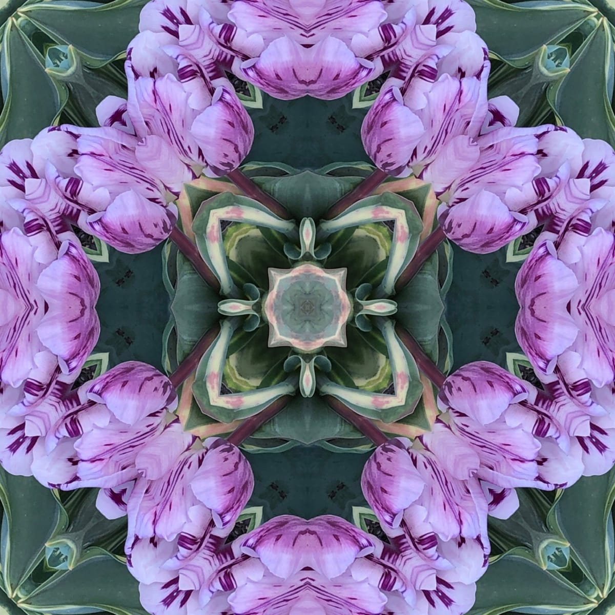 Hosta la Vista by Denise Wamaling 