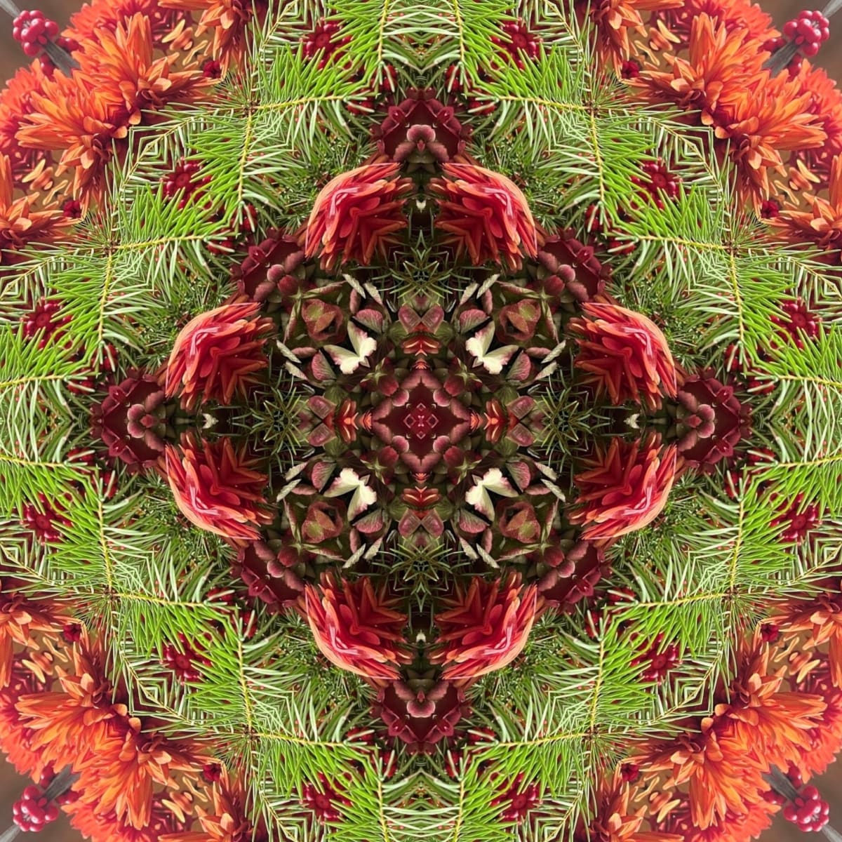 Pine, Lobby Flowers series by Denise Wamaling 
