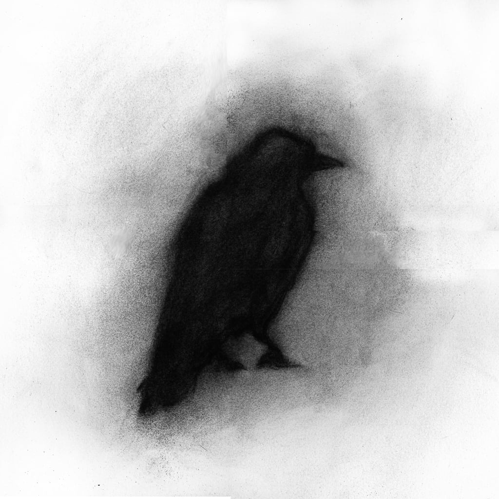 Crow by Jo Davis 