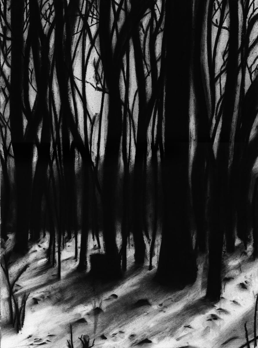 Trees 8 am by Jo Davis 