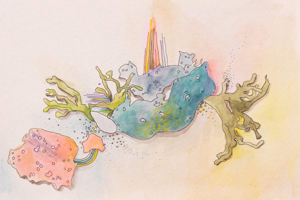 Debris by Jo Davis, Image 1.