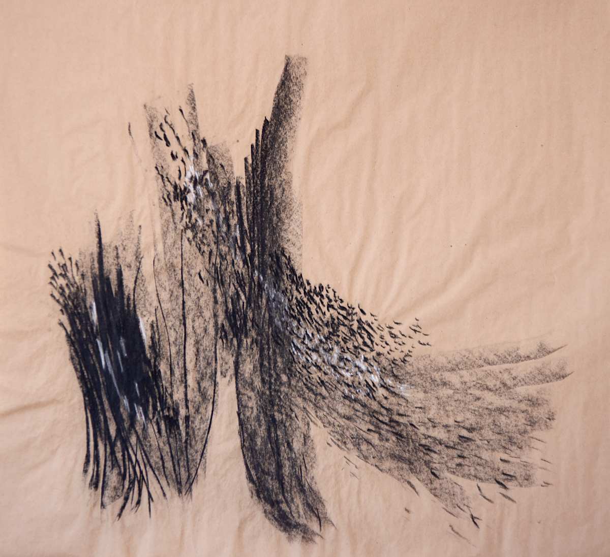 Slipping by Jo Davis, Image 1.