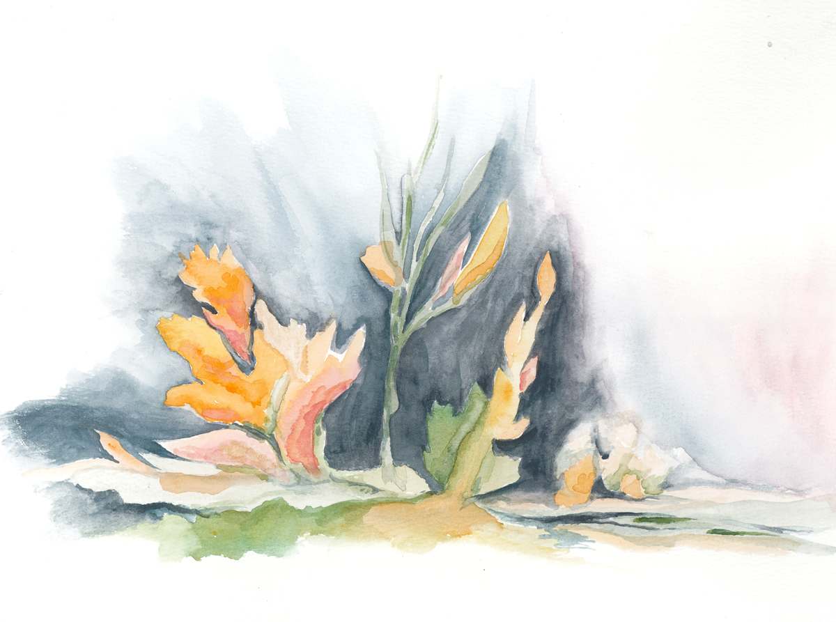 Just This by Jo Davis, Image 1.