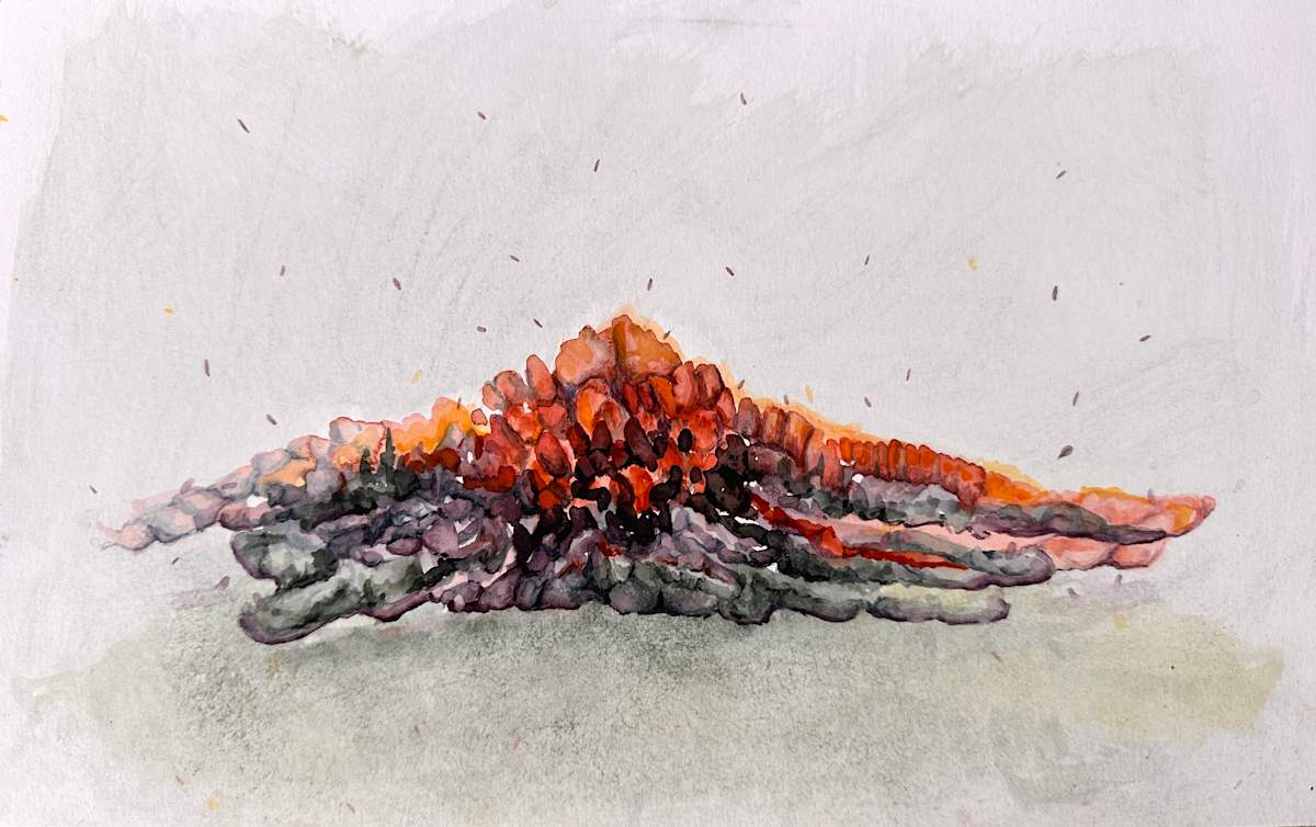 Mound by Jo Davis 