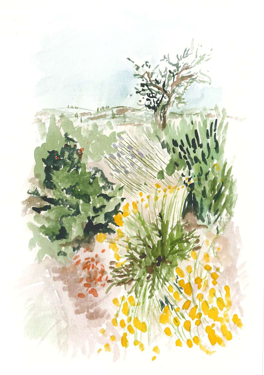 Tuscany Study 1 by Jo Davis 