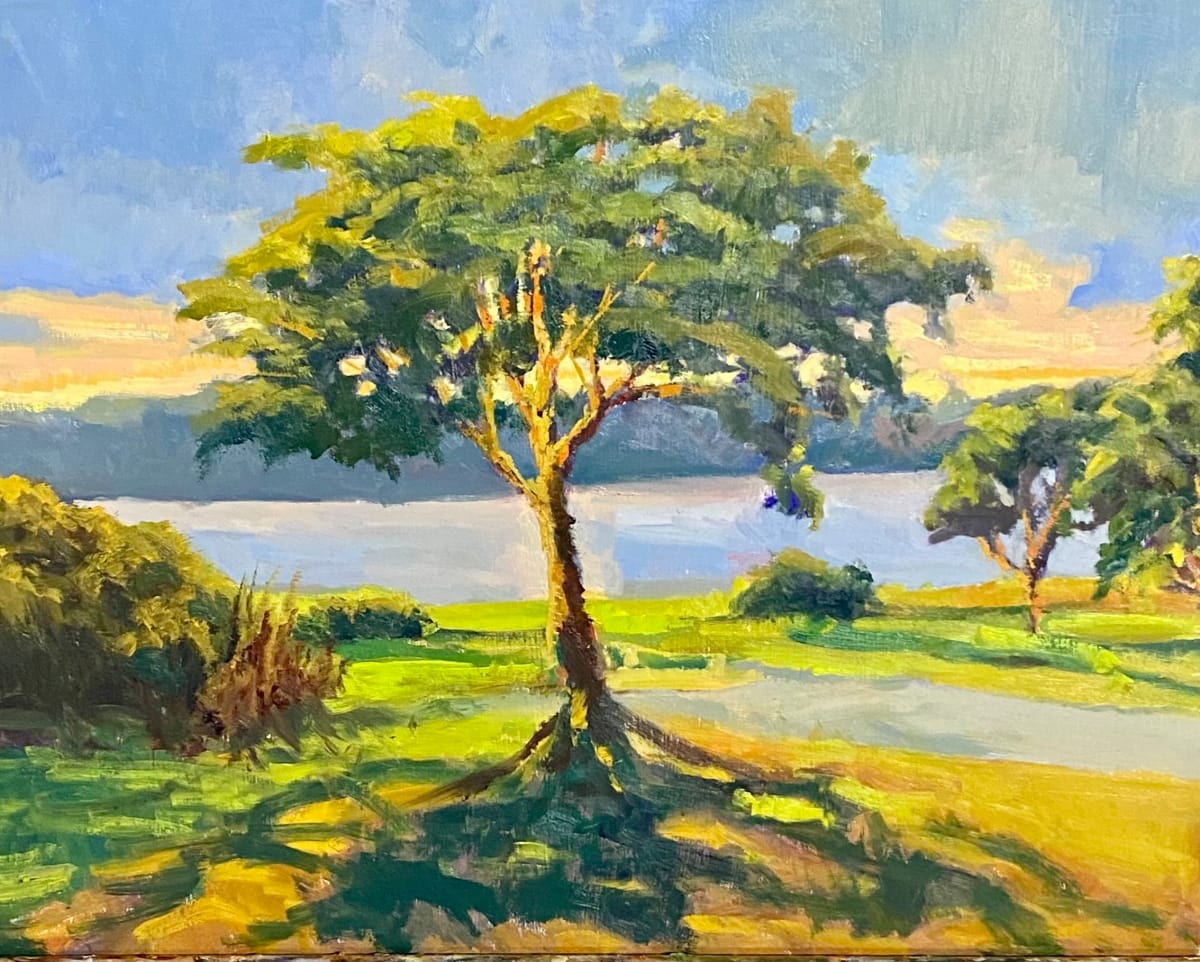 Lake Guntersville Tree at Sunset by Trevor  Thomas 