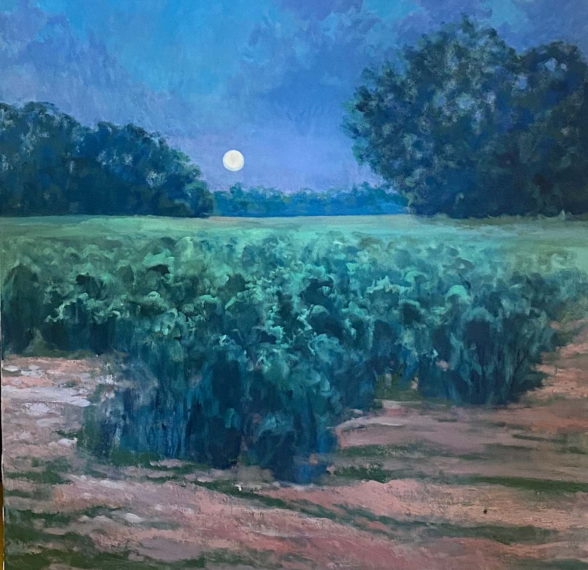 Tobacco Field at Twilight by Trevor  Thomas 