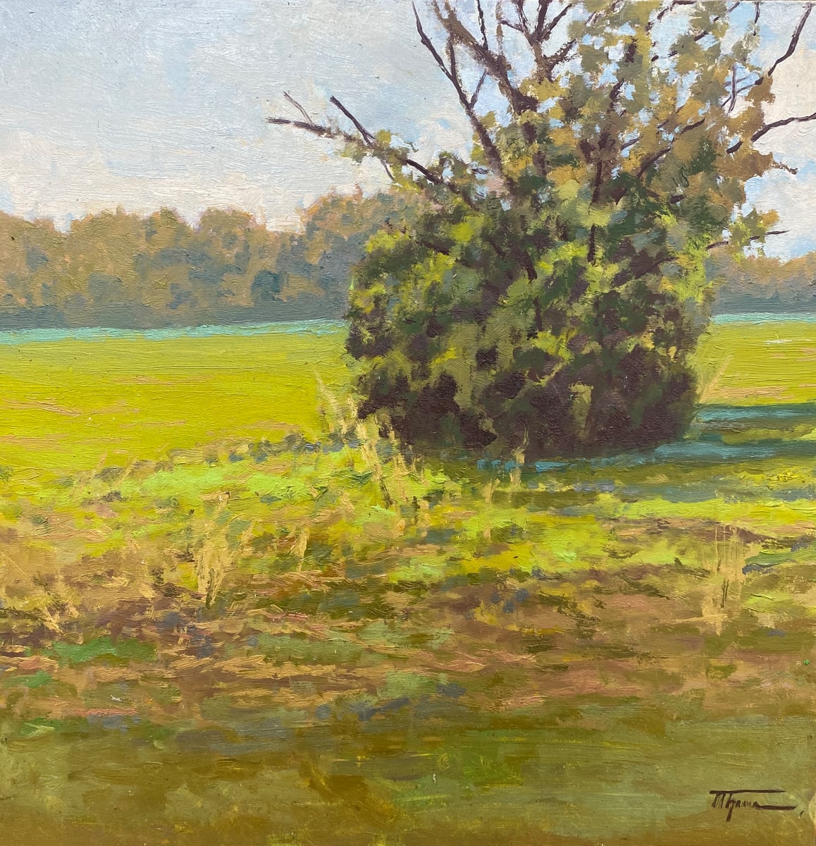 Sunny Afternoon in the Yard by Trevor  Thomas 