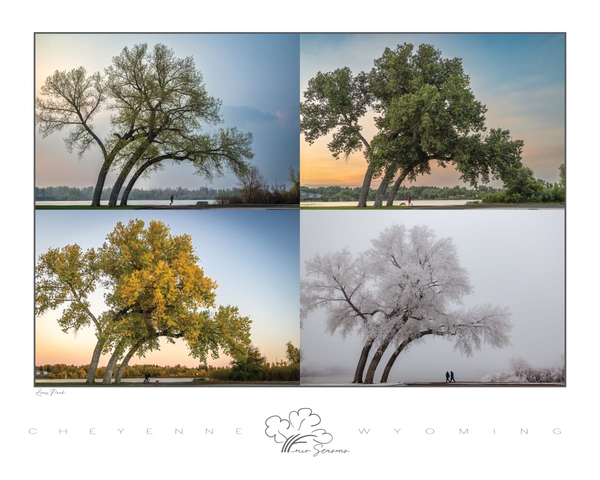 Four Seasons Giclee by Denise Hawkins 