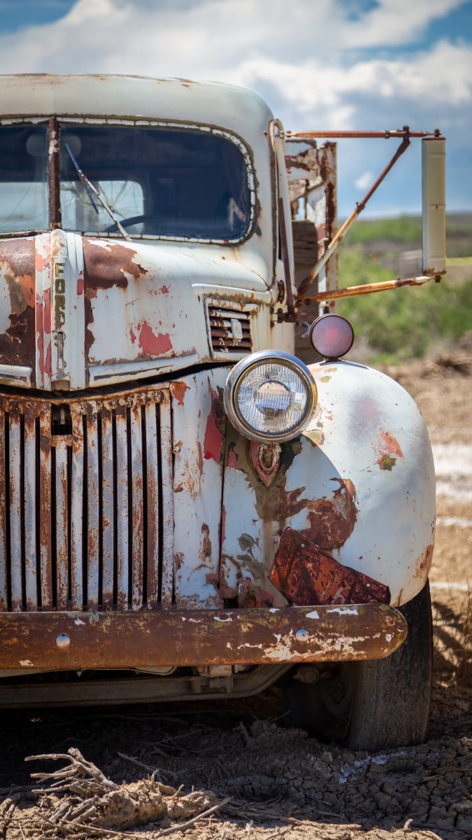 White Ford Truck by Denise Hawkins 