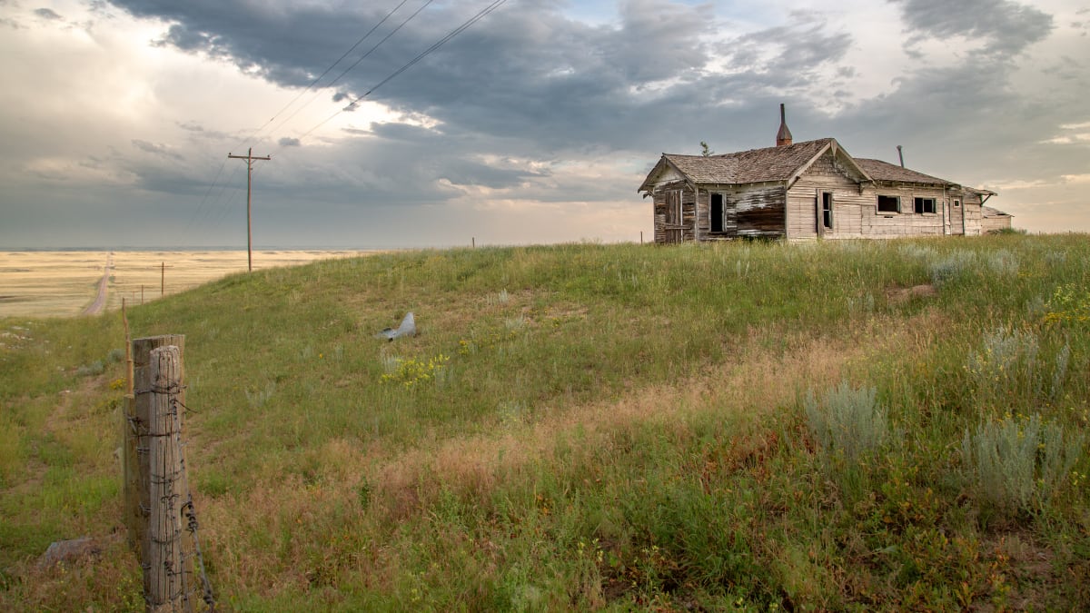 Homesteader's World by Denise Hawkins 