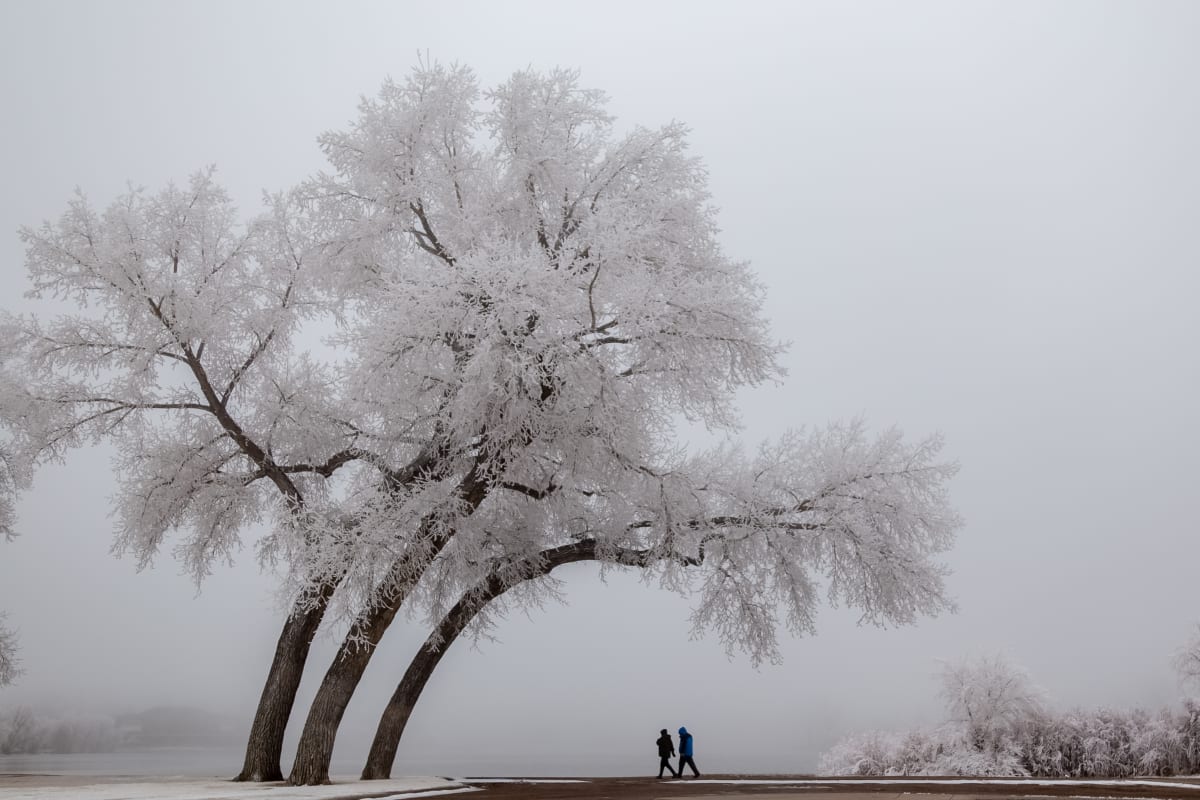 Winter Lean by Denise Hawkins 